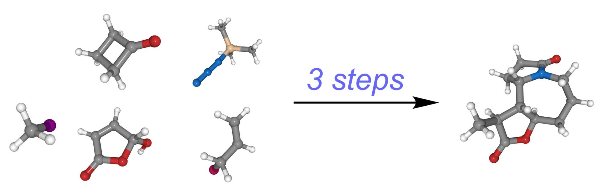 duplicating a complex molecule in only three steps