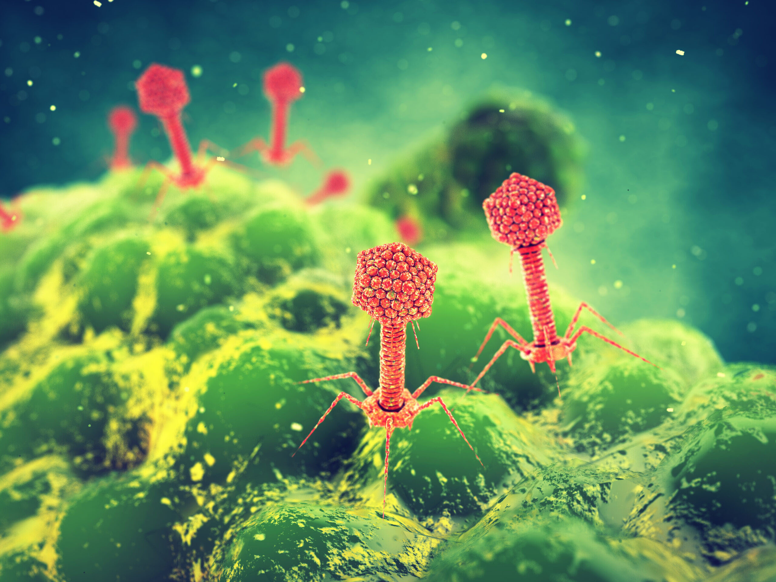 A rendering of bacteriophage viruses attacking a bacteria