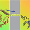 Breaking bonds: Double-helix unzipping reveals DNA physics