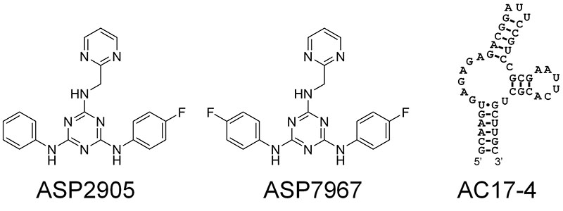 Molecular structure of compounds ASP2905 and ASP7967 and nucleotide sequence of the newly developed RNA aptamer (AC17-4)