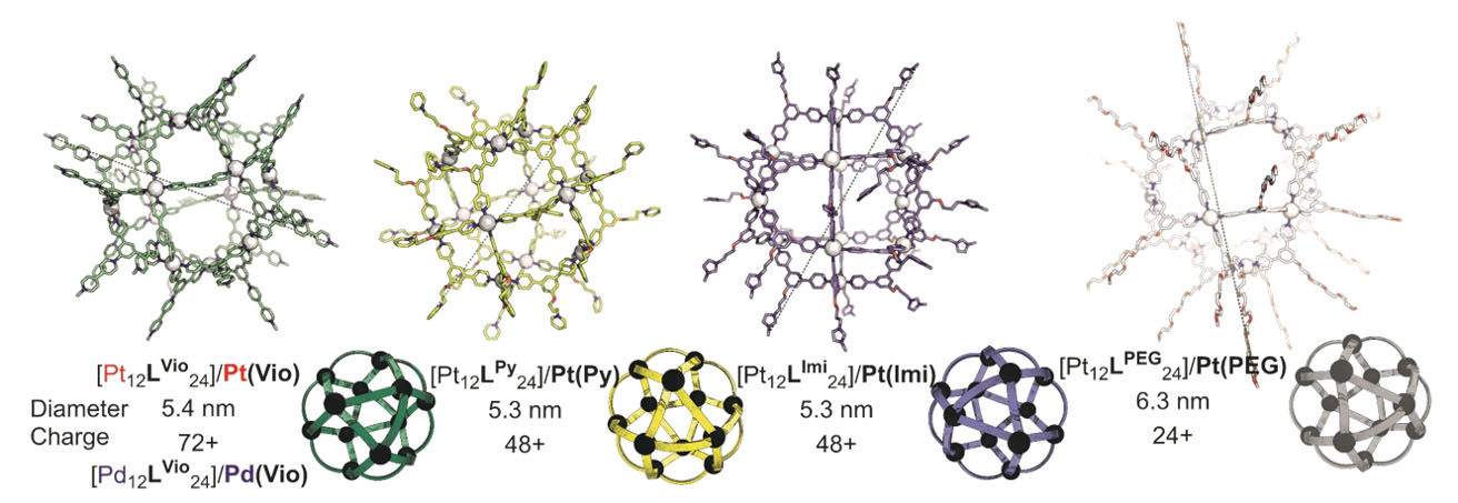 Four Pt12L24 nanocage structures