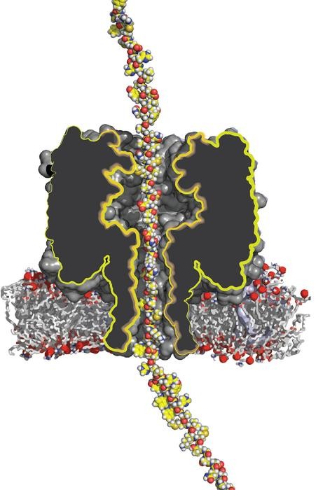 This image shows an artist impression of a protein passing through a nanopore
