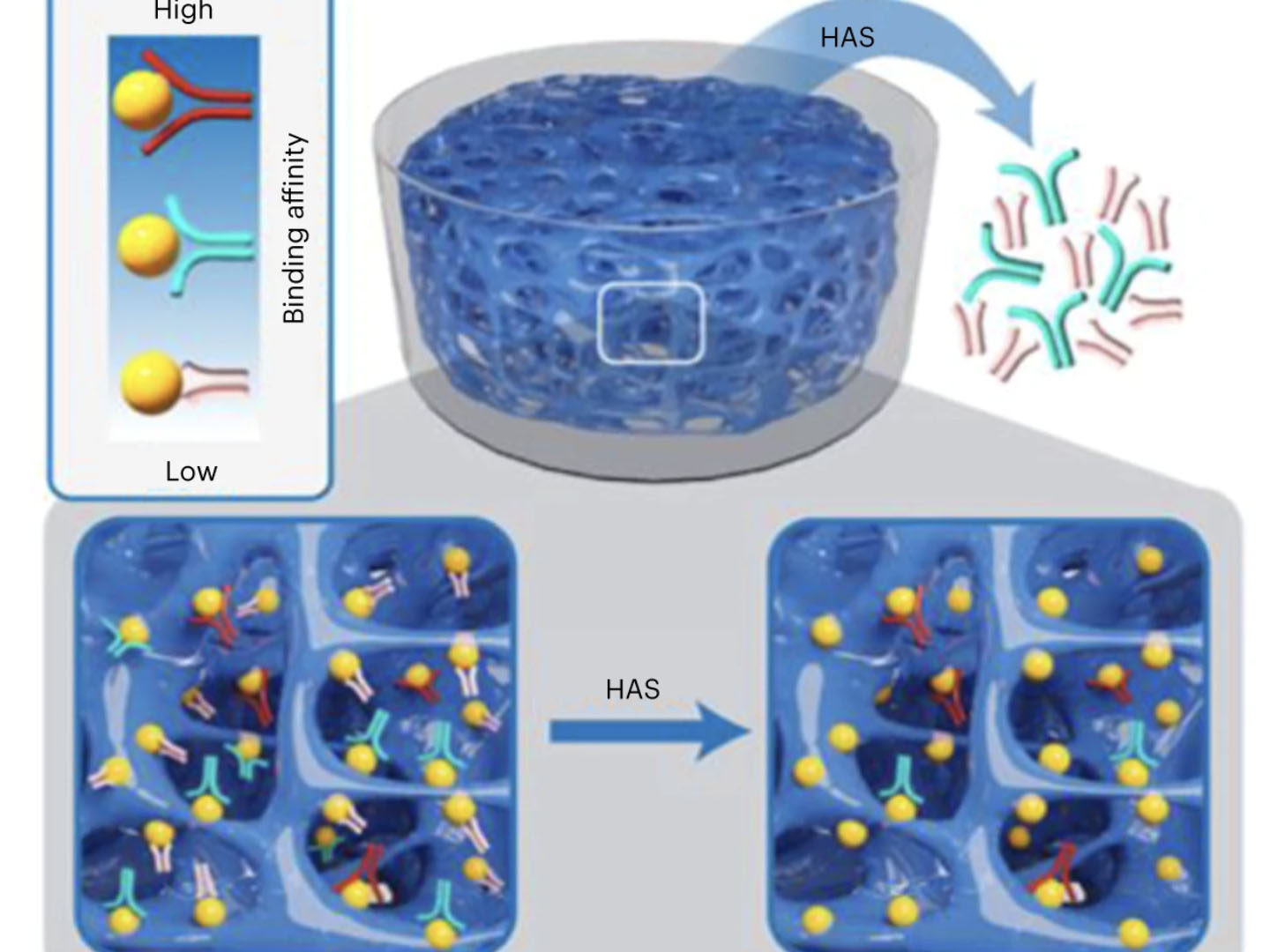 hydrogel for aptamer selection
