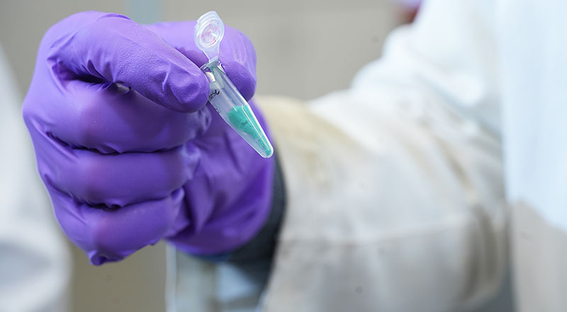 A close-up of freeze-dried RNA nanoparticles
