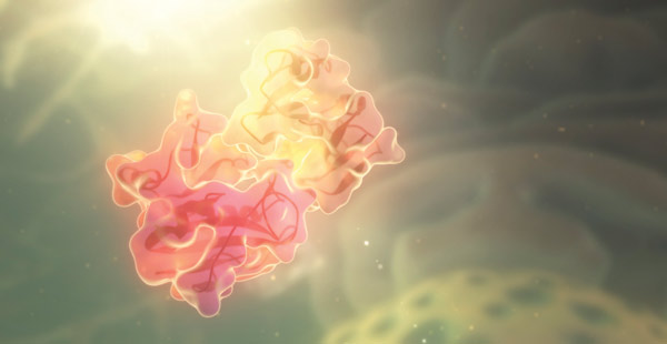 An artist’s impression of an enzyme and its substrate