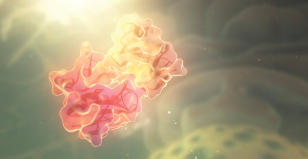 An artist’s impression of an enzyme and its substrate
