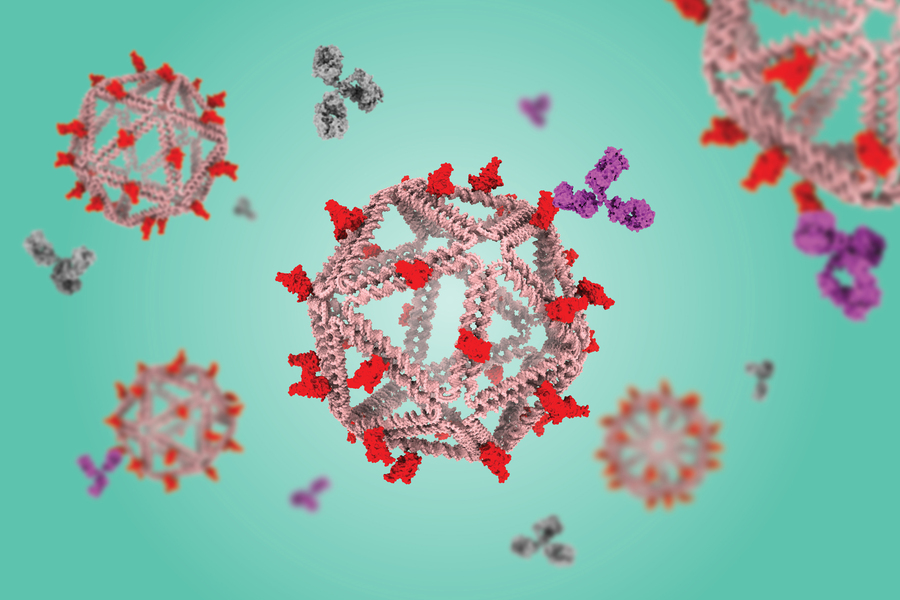 Vacuna que consta de una estructura de ADN que transporta muchas copias de un antígeno viral.