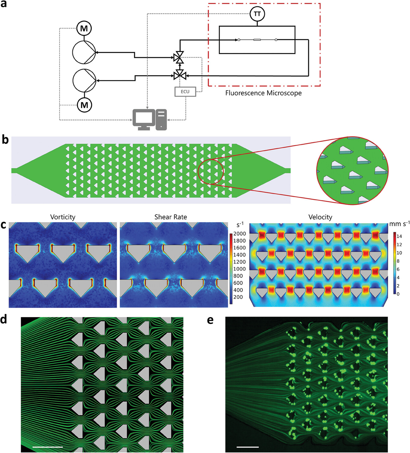 Microfluidic platform for flow-induced deposition of various biomaterials