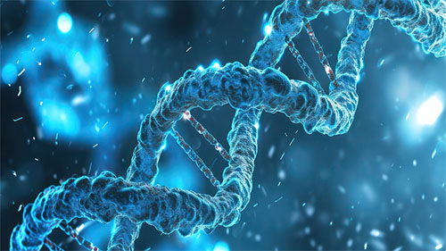 DNA