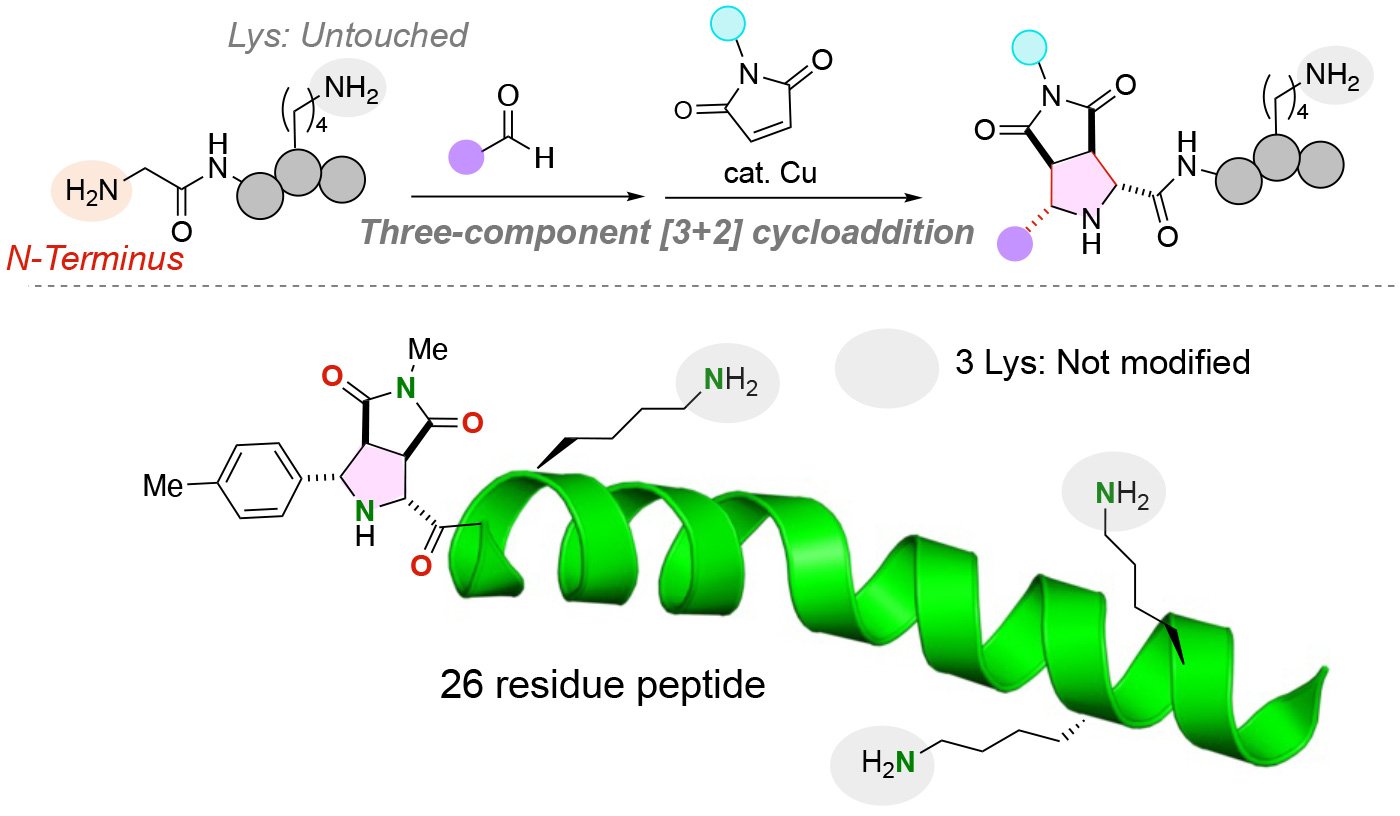 An N-terminal specific three-component [3+2] cycloaddition proceeds without affecting the highly reactive lysine residues