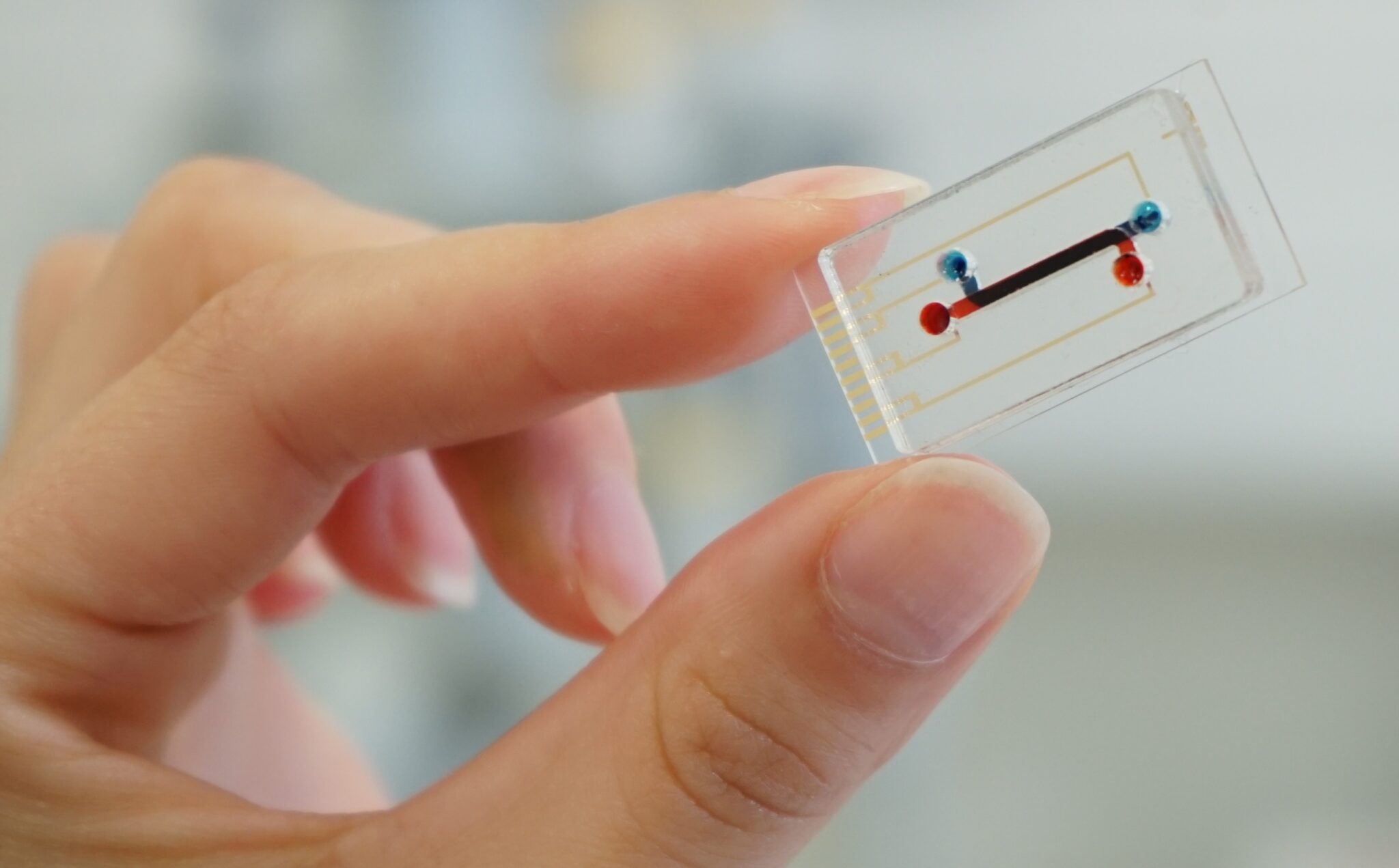 a microfluidic platform that simulates human digestion