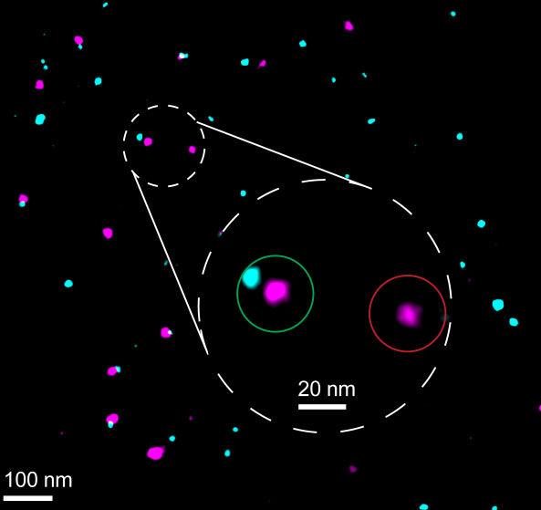 Under the microscope, the reference and marker appear as differently colored points of light