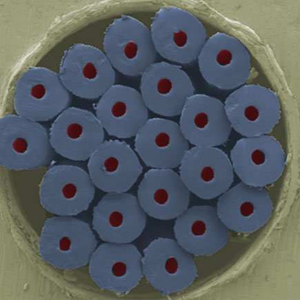 a fiber bundle approx. one millimeter wide at 80x magnification