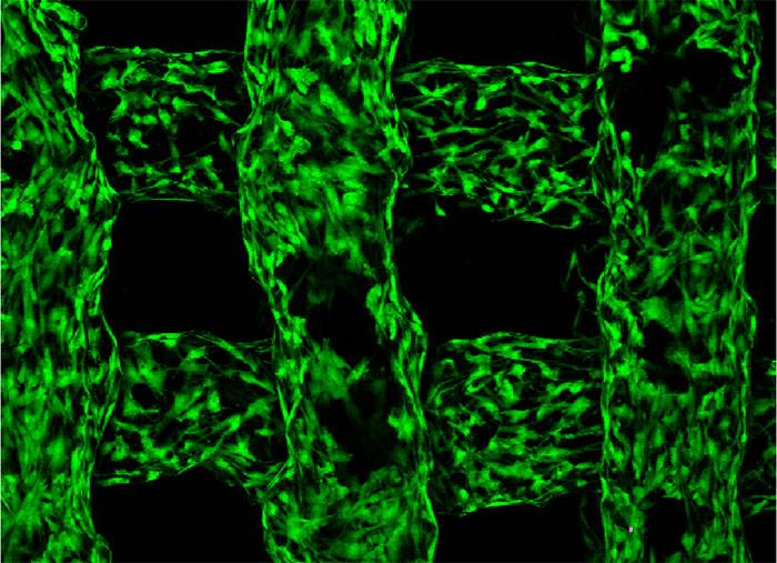 bioelectronic scaffold