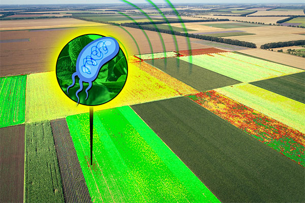 engineered bacteria produce hyperspectral signals that can be detected as far as 90 meters away