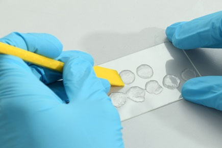 Gelatin from cold-water fish such as cod, pollock and haddock can be cross-linked in just a few steps to turn it into a non-swelling hydrogel, which can be printed with skin cells