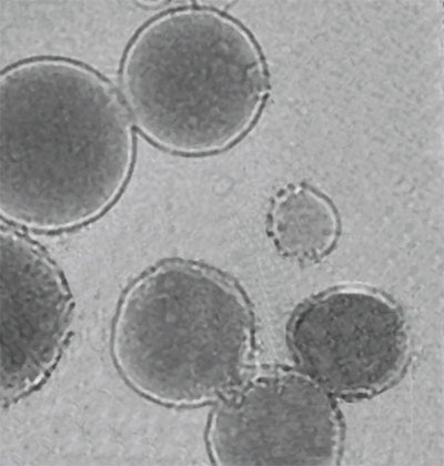 A TEM image of the team's low-temperature sensitive liposomes loaded with a crosslinking agent