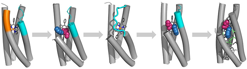 illustration of enzyme design workflow