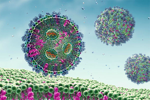 An illustration of mRNA beyond the liver