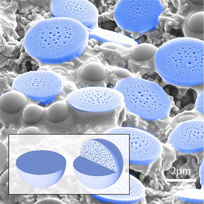Electron microscopy image showing a mixture of porous spheres and half-dome particles formed by evaporation of a peptide solution
