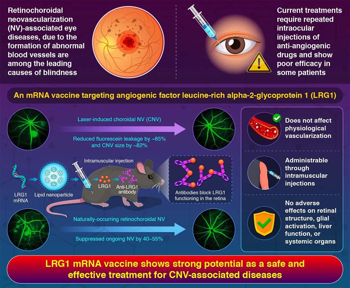 mRNA vaccination mitigates pathological retinochoroidal neovascularization in animal models