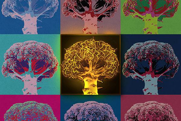 The pop art-inspired illustration highlights a new light-up RNA aptamer called Golden Broccoli that was developed through structure-based design.