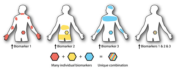 three theoretical biomarkers that are present in specific, sometimes overlapping areas of the body