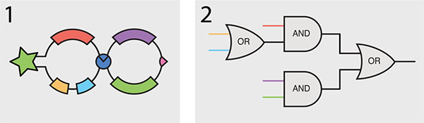 Box 1 shows a protein designed to be responsive to five different biomarkers; box 2 shows the logical conditions that must be met to fully break apart the tail and release the protein.