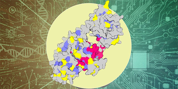 Schematic illustration of natural sequence information being combined with deep-learning