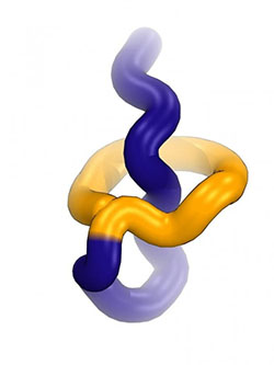 This computer simulation shows the recently discovered lariocidin, a lasso-shaped compound with its “lasso loop” shown in yellow and “tail” shown in purple.