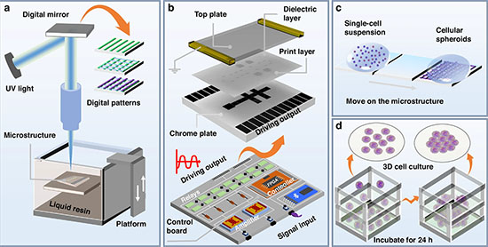 3D-printed digital microfluidic system for 3D cell culture