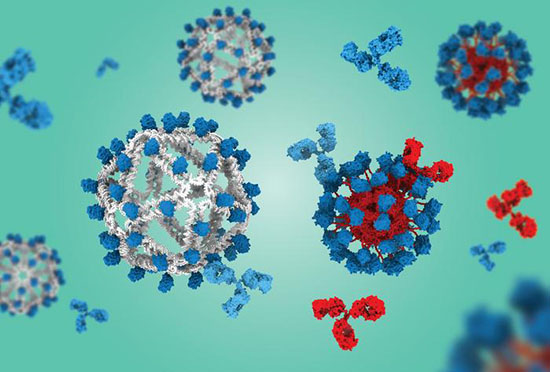 DNA-based vaccine