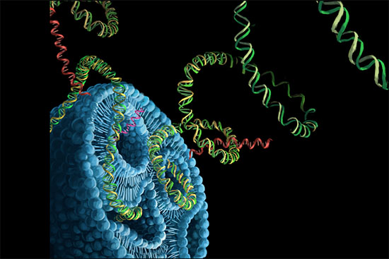 Artistic rendering of gene editing reagents — mRNA (red) and DNA (green and yellow) constructs — being packaged into a lipid nanoparticle (blue)