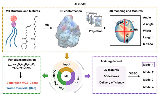 Schemetic illustration for the development of an AI model for liüid nanoparticle optimization