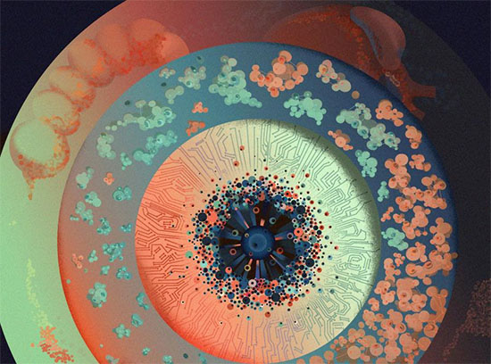 A synthetic gene circuit uses recombinase switches and feedback control to regulate population proportions