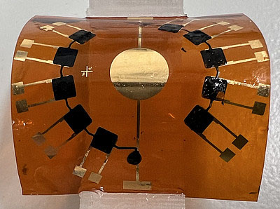 Organic electrochemical transistors (OECTs) fabricated on polyimide featuring channels of PEDOT:sGAGh