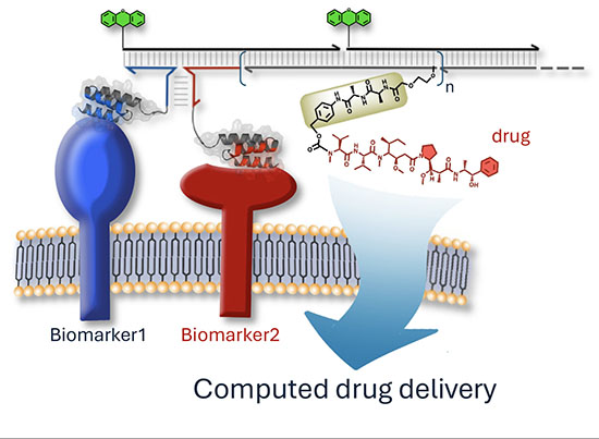 Smart DNA-based drugs