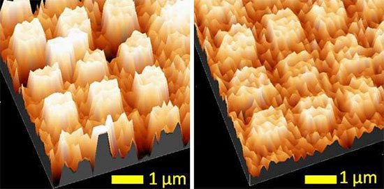 Adsorption of crystals of a biological chiral molecule onto a gold-coated cobalt surface