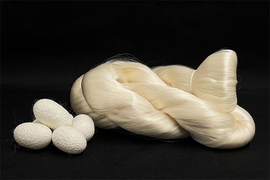 Silk, shown here in reeled form and cocoons