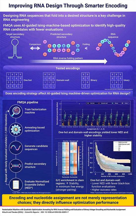 Encoding-Driven Optimization of RNA Inverse Folding
