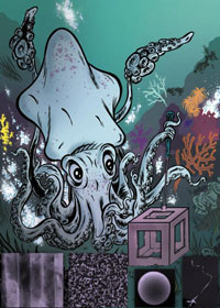 Squid