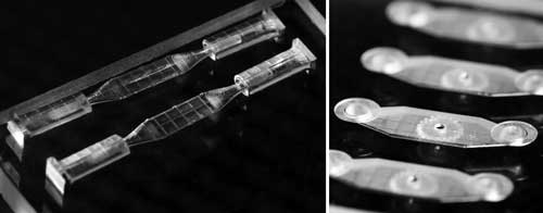 flow cells for fertility analysis