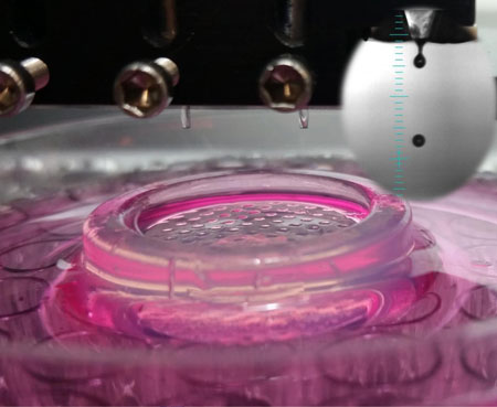 Bioprinting of Cells into Microwells