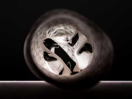 inside 3D-printed heart valve model