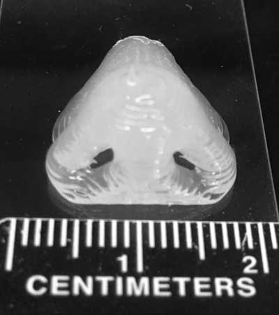 3D-printed nose