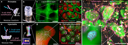 printing a liquid-filled foam and including living cells