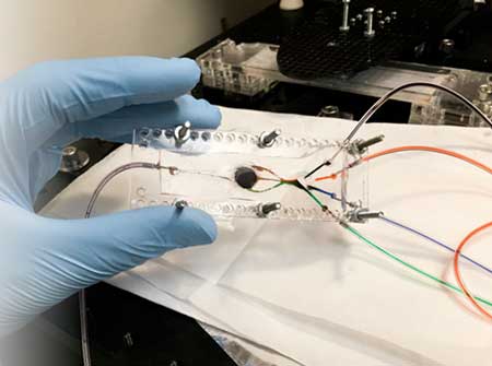 microfluidic chip