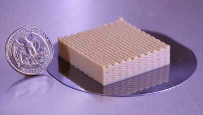 3D printed live yeast cells on lattices next to a quarter coin