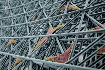 Microfilaments made using a new 3D printing method
