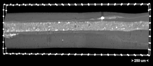 A microCT image shows a grooved thread that holds the low-viscosity bioink